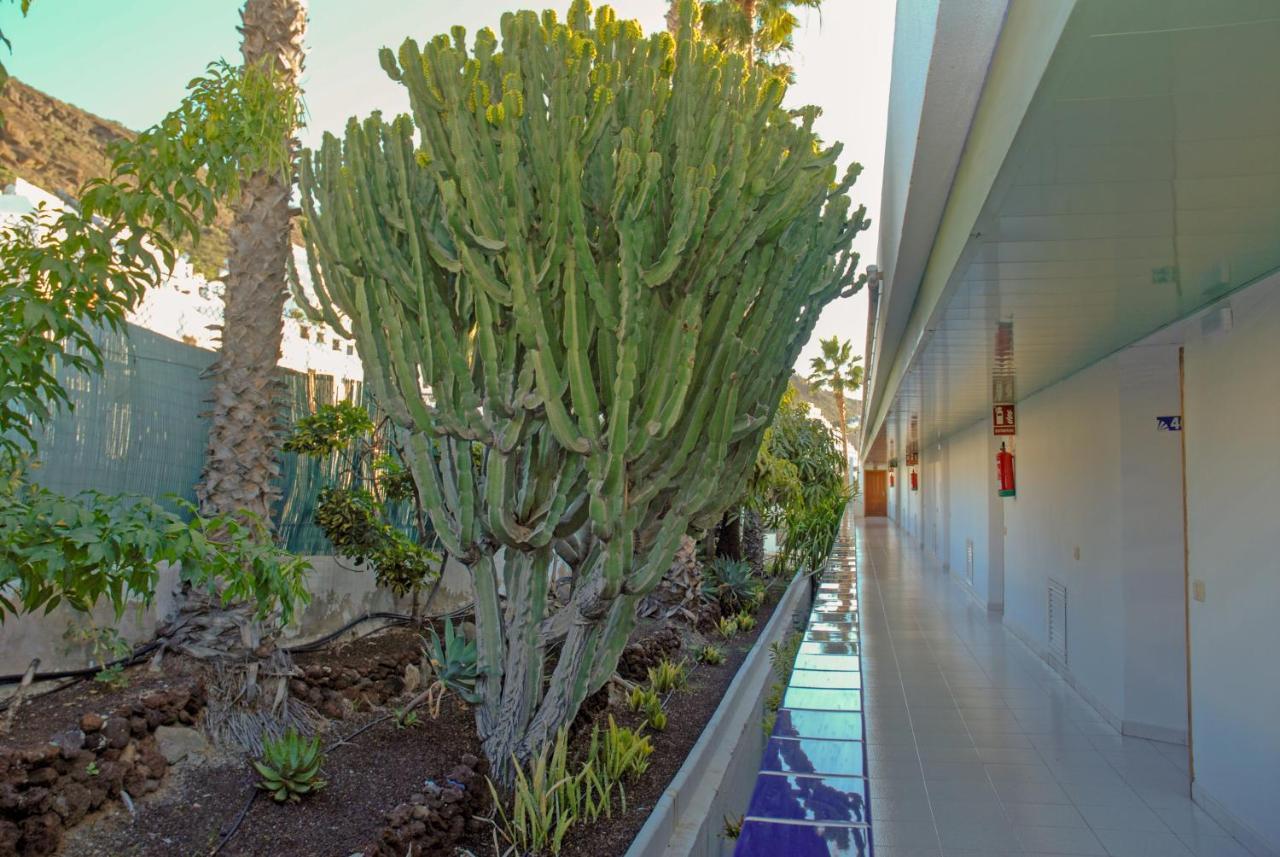 Apartmán Lufesa Puerto Rico  Exteriér fotografie